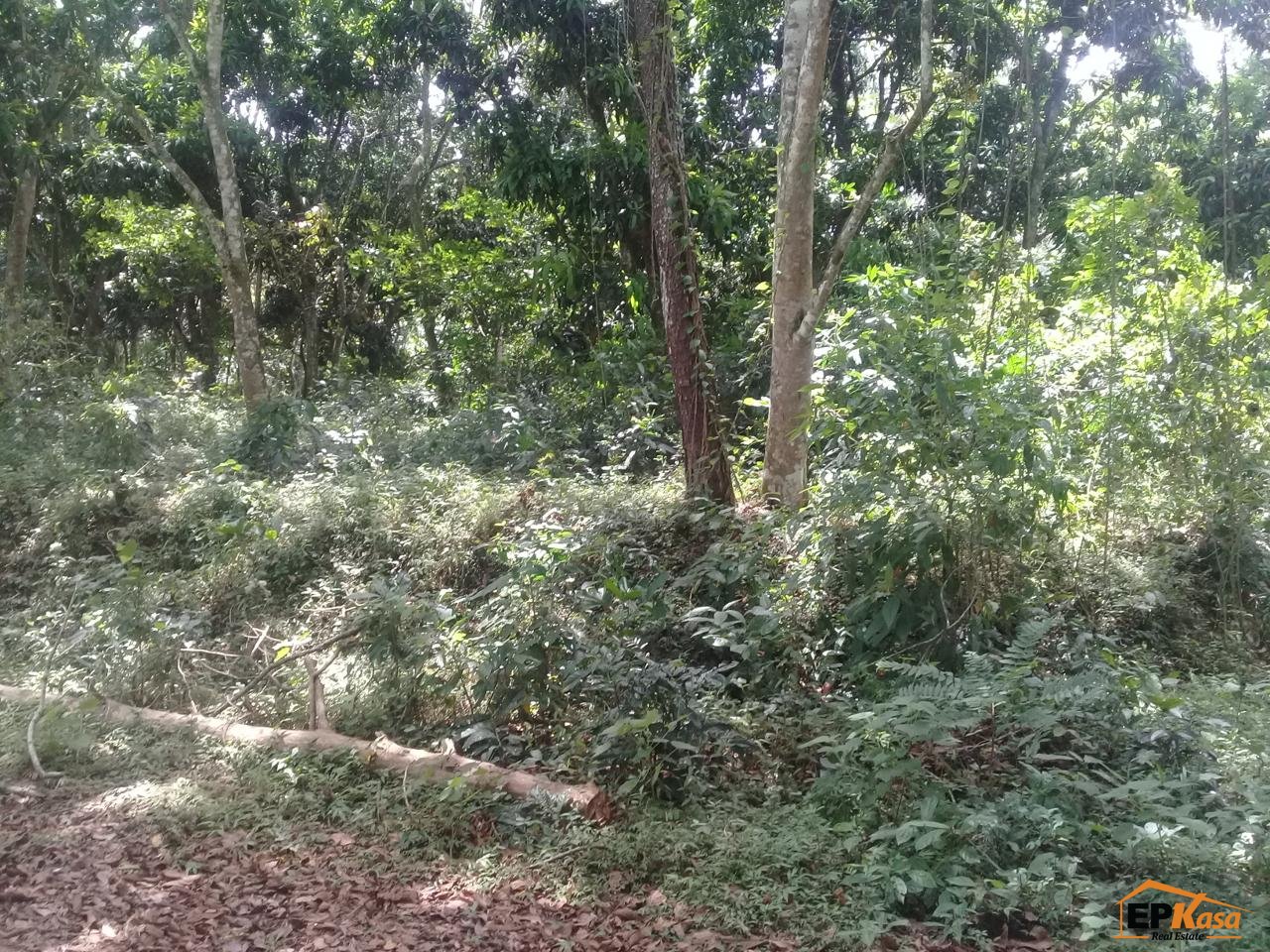Solar de Venta en Jarabacoa