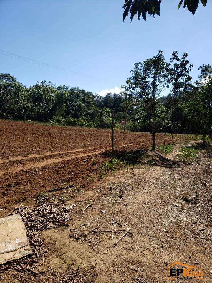 Solar comercial de Venta en Jarabacoa