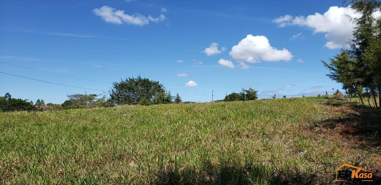 Solar de Venta en Jarabacoa. — foto 3