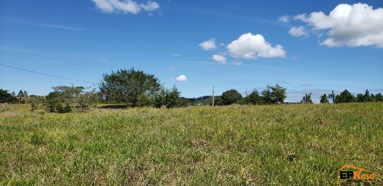 Solar de Venta en Jarabacoa. — foto 5