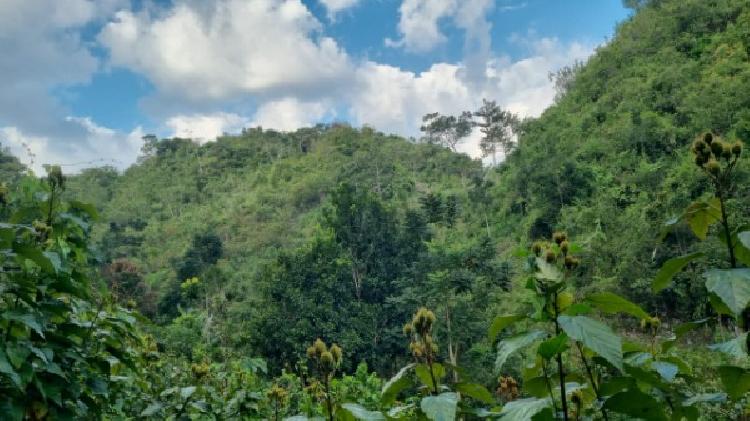 PARCELA EN VENTA EN CHISEC, ALTA VERAPAZ - 4