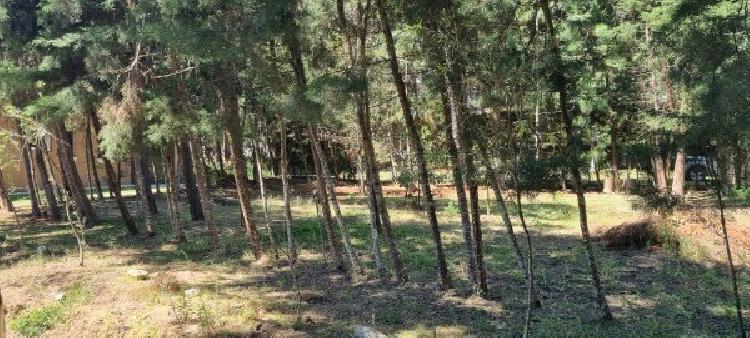 TERRENO EN VENTA SANTA MARIA CAUQUE/ LOS MANZANALES - 7