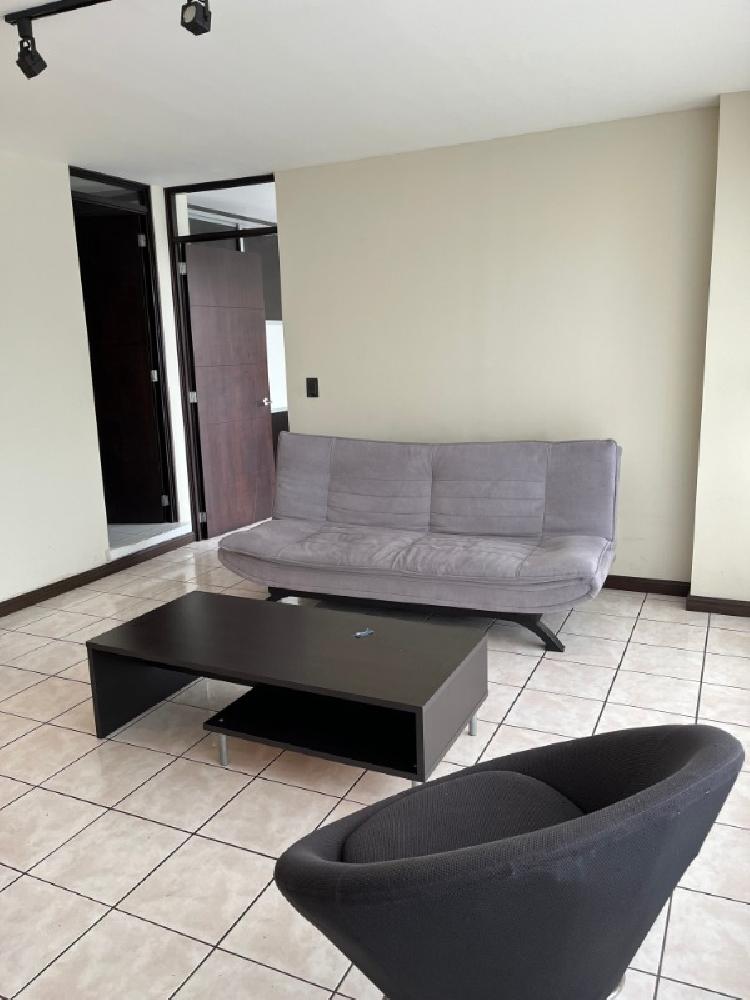 APARTAMENTO AMOBLADO EN RENTA ZONA 9/MUNDO INMOBILIARIO — foto 2