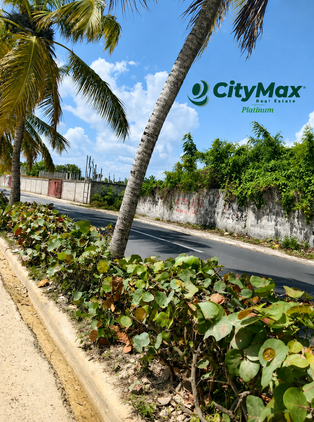 Solar Comercial en Venta – Autopista Las Américas - 5