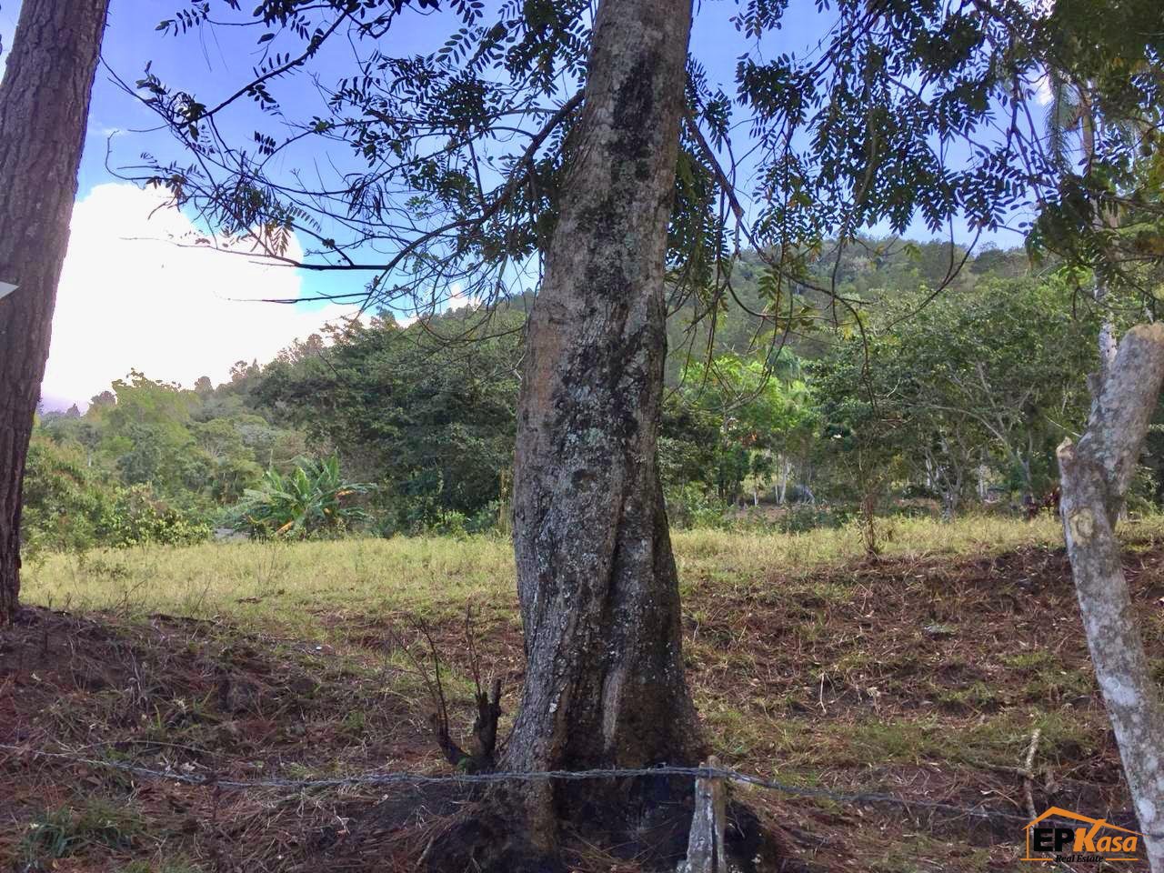 Terreno en Venta en Jarabacoa — foto 6