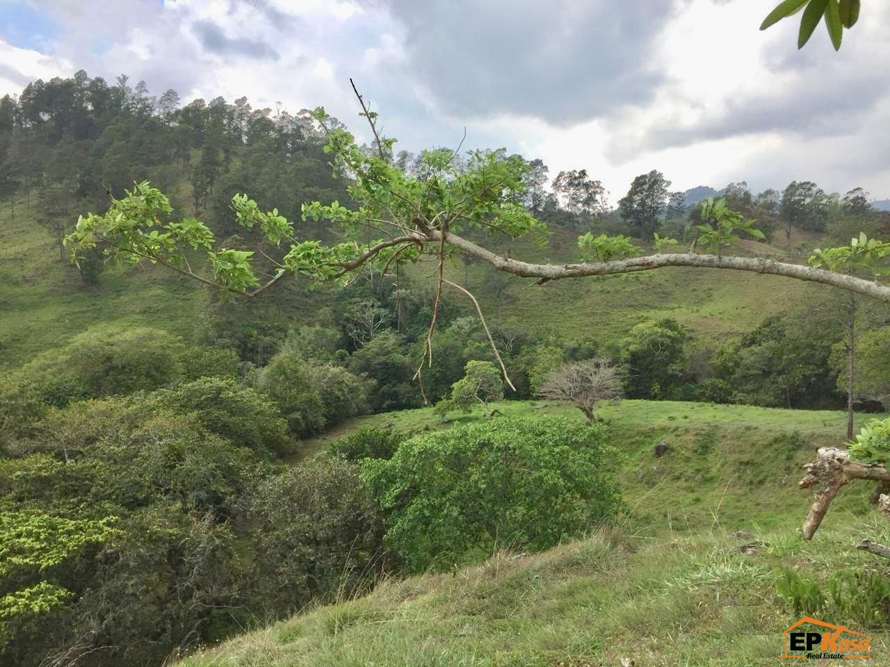 Terreno en Venta en Jarabacoa. — foto 7