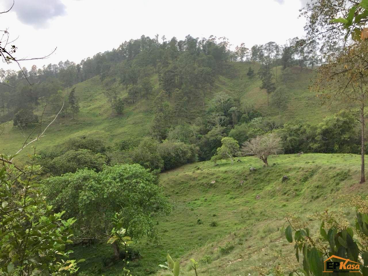 Terreno en Venta en Jarabacoa. — foto 6
