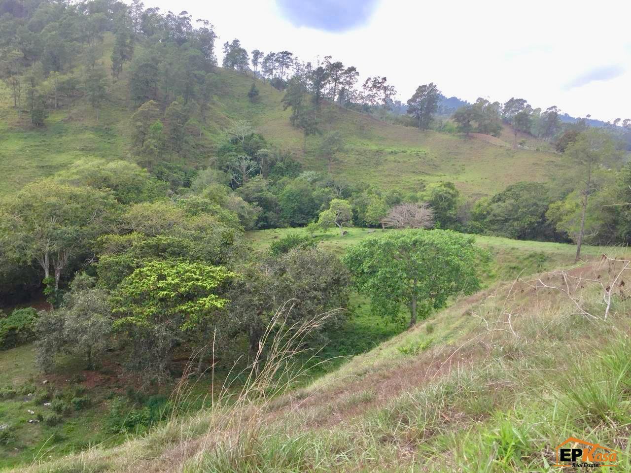 Terreno en Venta en Jarabacoa. — foto 4