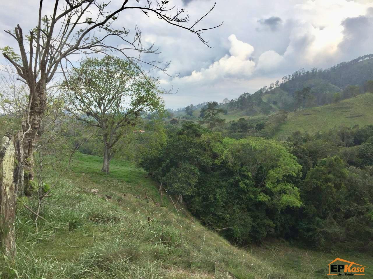 Terreno en Venta en Jarabacoa.