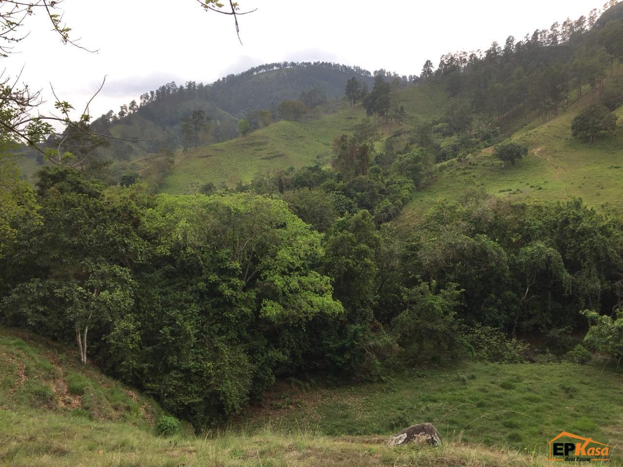 Terreno en Venta en Jarabacoa. — foto 8