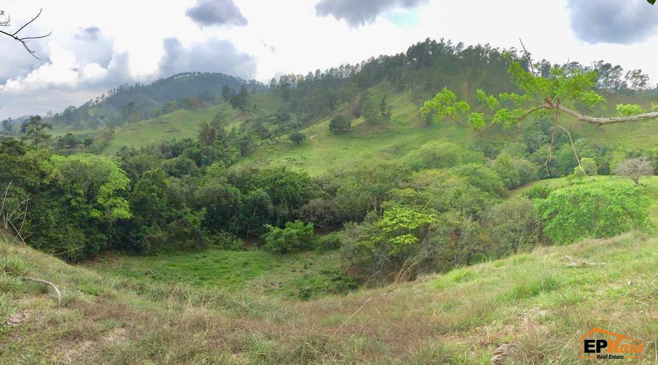 Terreno en Venta en Jarabacoa. — foto 5