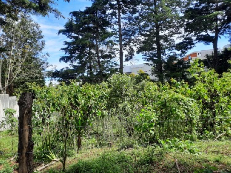 TERRENO EN VENTA EN KM 21.5 CARRETERA A FRAIJANES — foto 10
