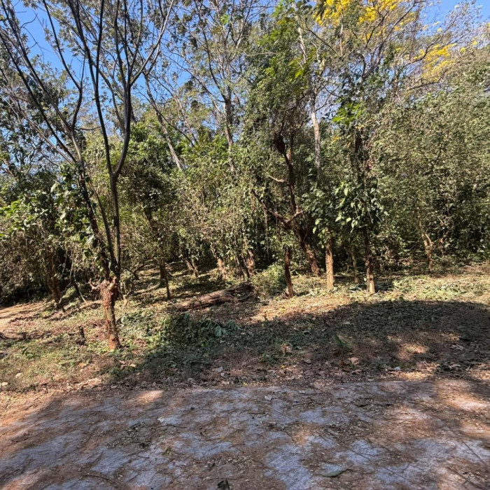 Lote en Venta RioSul, Escuintla, Guatemala - Image 3
