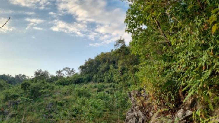 PARCELA EN VENTA EN CHISEC, ALTA VERAPAZ - 6