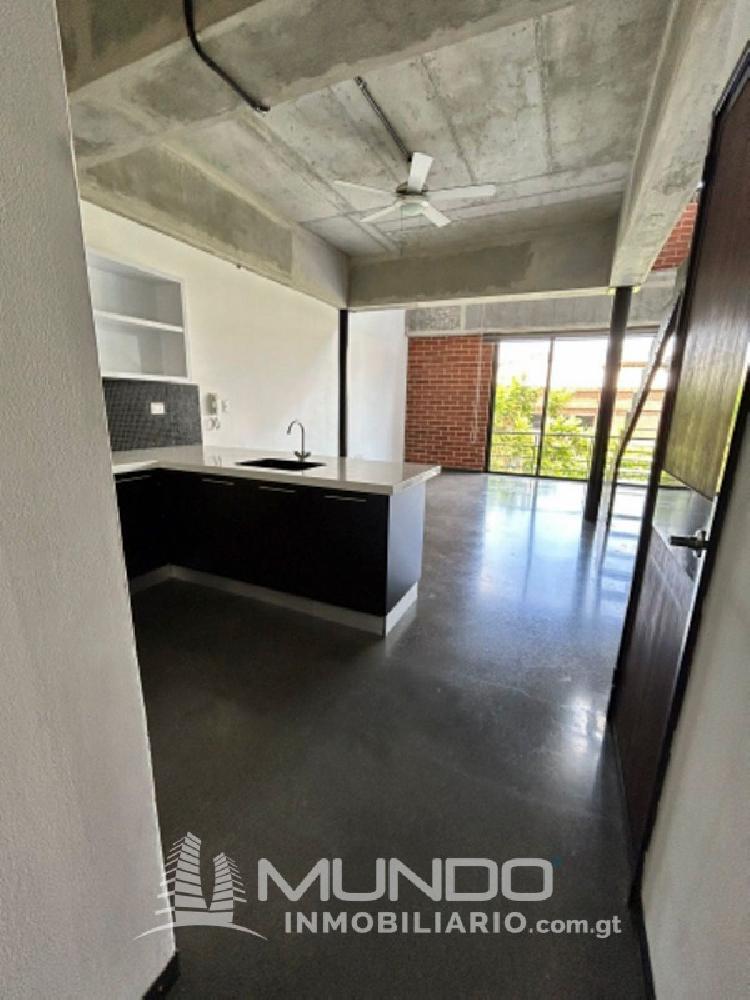 APARTAMENTO TIPO LOFT EN RENTA EN ZONA 4/MI — foto 10