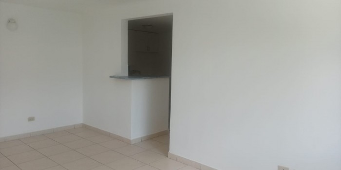 Alquilo amplio apartamento en zona 10