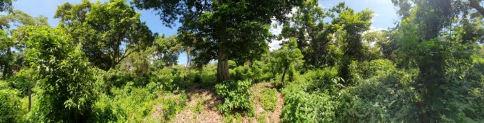 Vive a menos de 1km del Parque Arqueológico Tazumal - 3