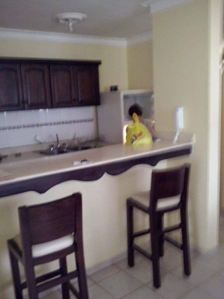 ALQUILER APARTAMENTO AMUEBLADO EN VILLA OLGA — foto 3