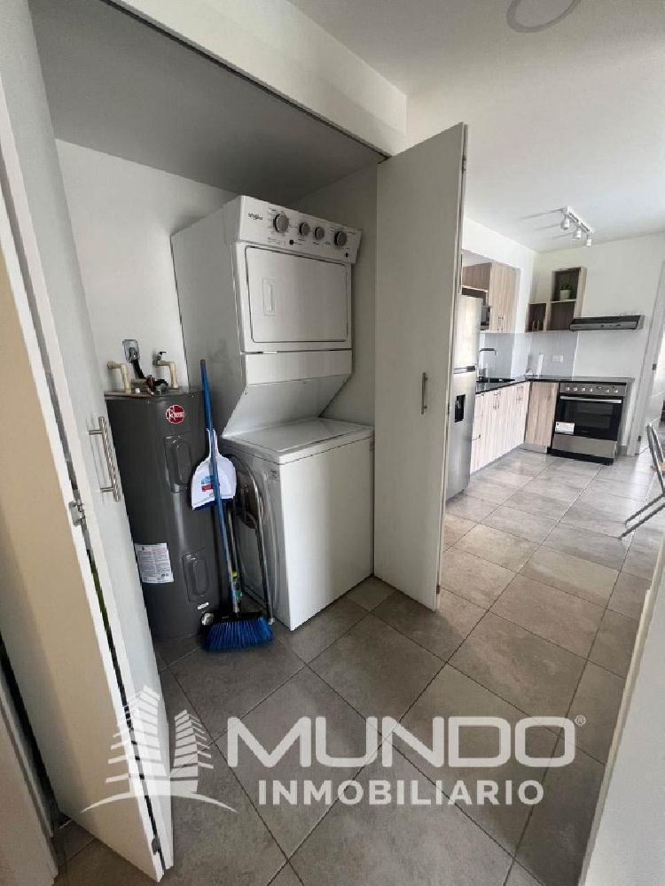 APARTAMENTO AMUEBLADO EN RENTA ZONA 10 — foto 8
