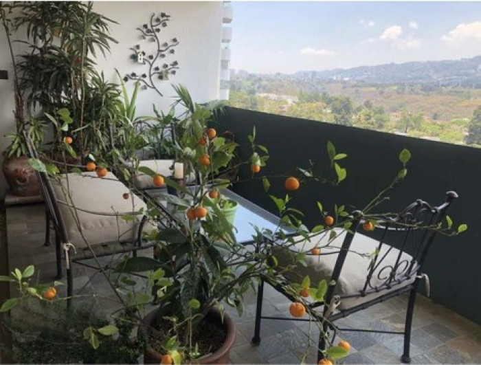 Apartamento amueblado de lujo en alquiler zona 14 - Miniatura 7