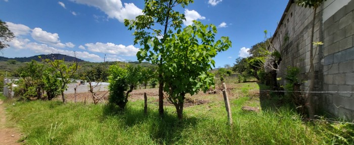 Terreno en venta en Barberena km 60 cerca de carretera - 11