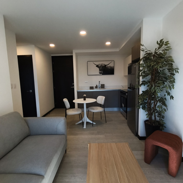 Apartamento Amueblado en Renta o Venta en Z.13 Americas — foto 7