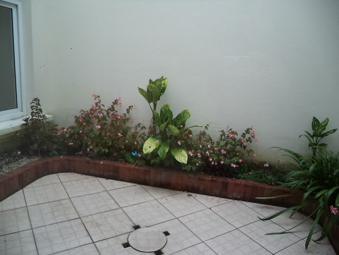 Plus Real Estate renta casa en VHI zona 15 — foto 9
