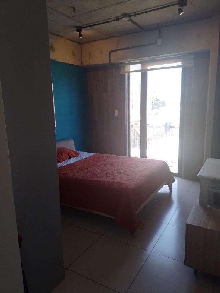 APARTAMENTO AMOBLADO EN RENTA ZONA 4/MUNDO INMOBILIARIO — foto 6