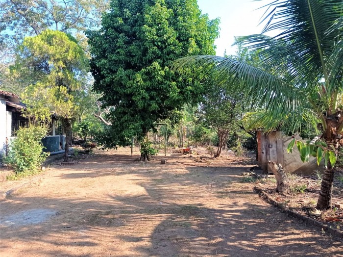 Vendo terreno agrícola de 3,265 varas en Ciudad Arce - 4