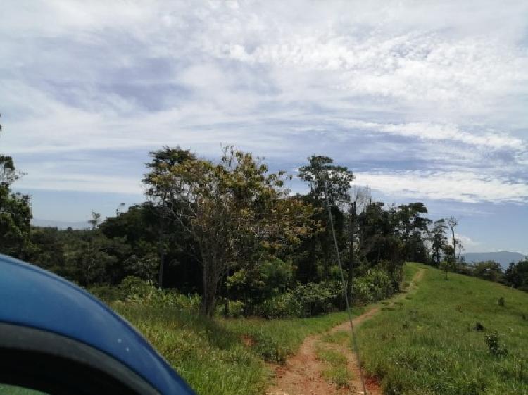 Vendo Finca de 120mnz en Puerto Barrios, Izabal Ref-229 - 11