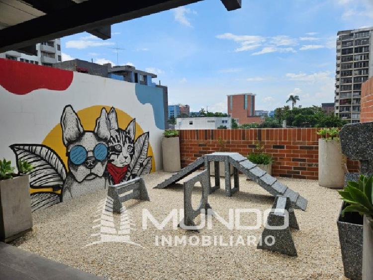 APARTAMENTO AMUEBLADO EN RENTA ZONA 10 — foto 7