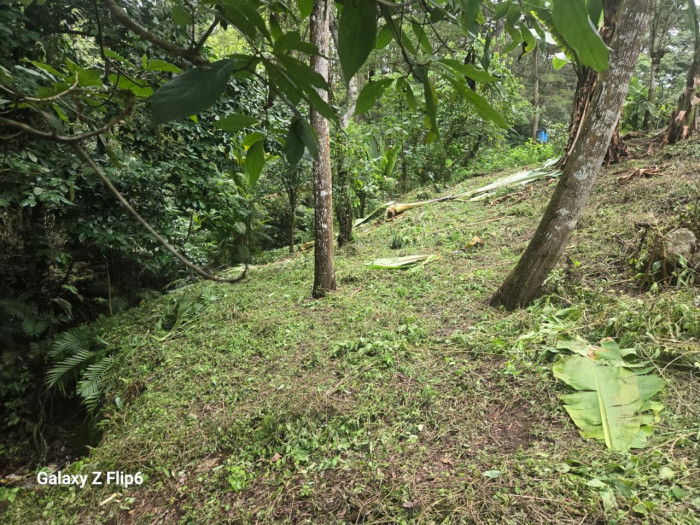 TERRENO EN #VENTA EN PIEDRA PARADA CRISTO REY