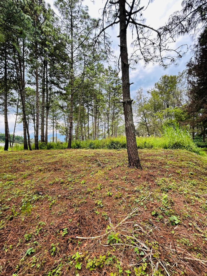 Terreno en venta en Sumpango Hacienda Las Llanuras - 2