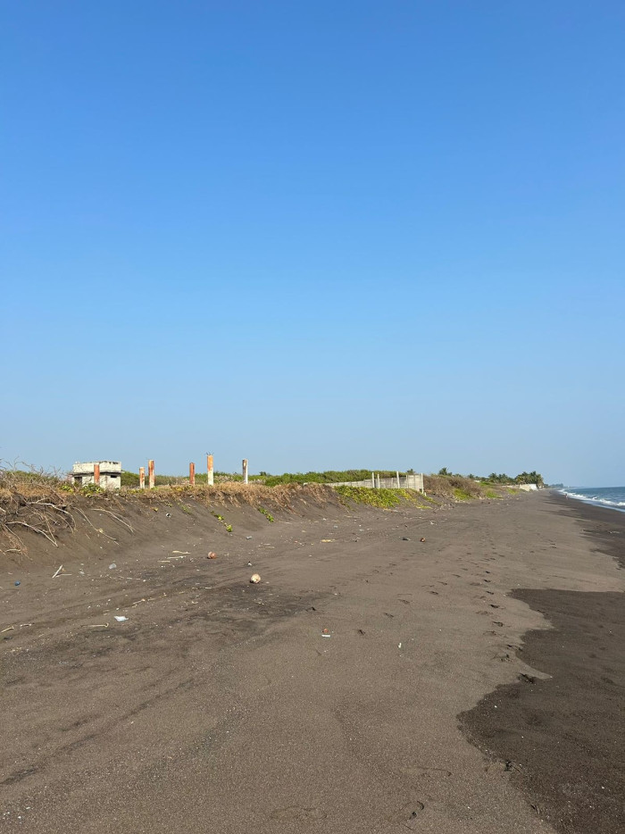 TERRENO GRANDE EN VENTA EN IZTAPA PARA DESARROLLO - 4