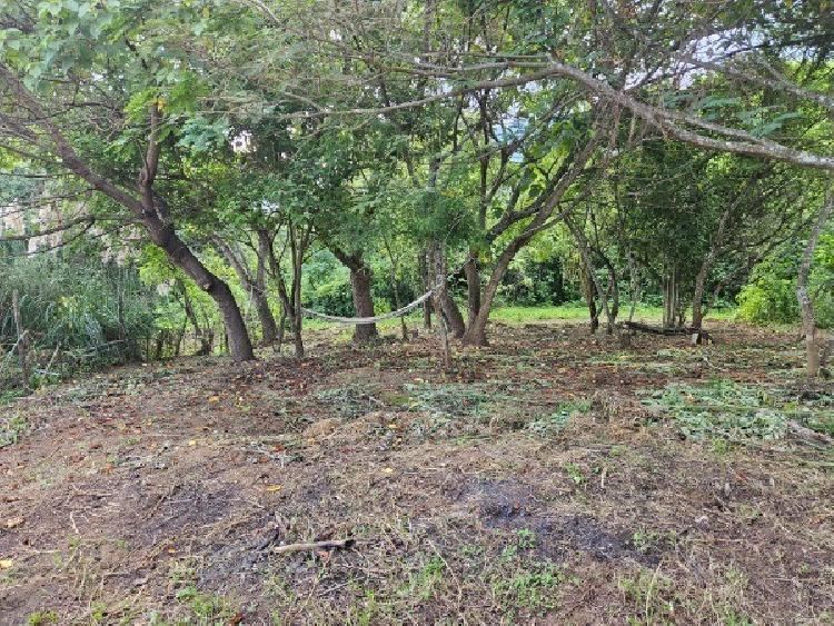 TERRENO EN VENTA MILPAS ALTAS/MUNDO INMOBILIARIO - 6