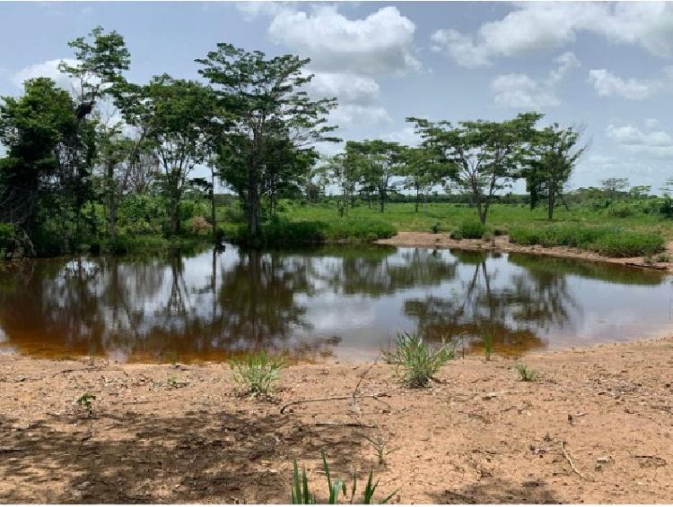Finca Las Cruces, La Libertad, Peten - 9