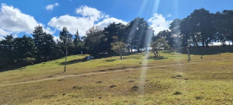 FINCA EN VENTA EN FRAIJANES / MUNDO INMOBILIARIO - 4