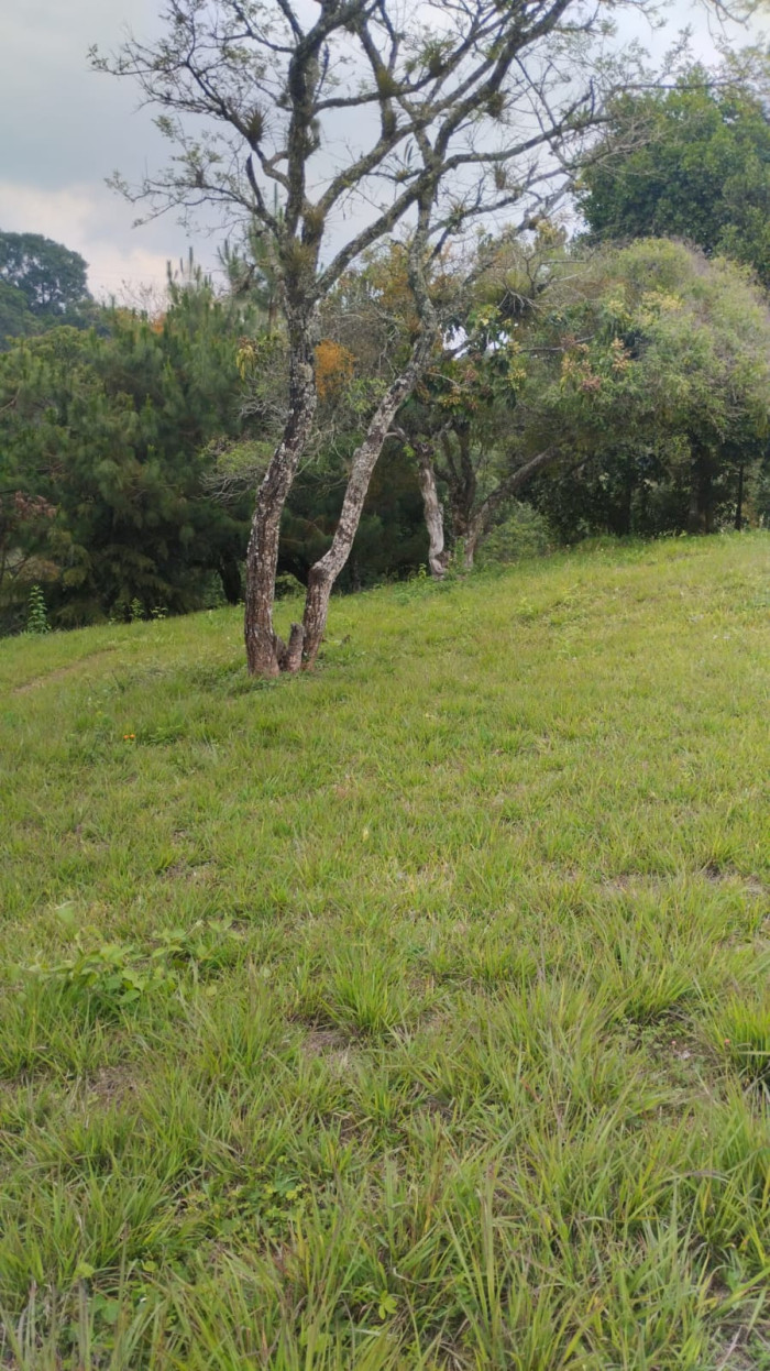 Terreno en venta Bosques de Vilaverde km 26.5 CES — foto 3