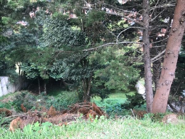 TERRENO EN VENTA EN BOSQUES DE LAS LUCES/MI — foto 4