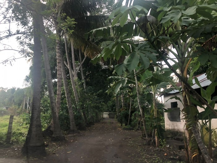 Venta de finca a orilla de carretera Masagua, Escuintla - 1