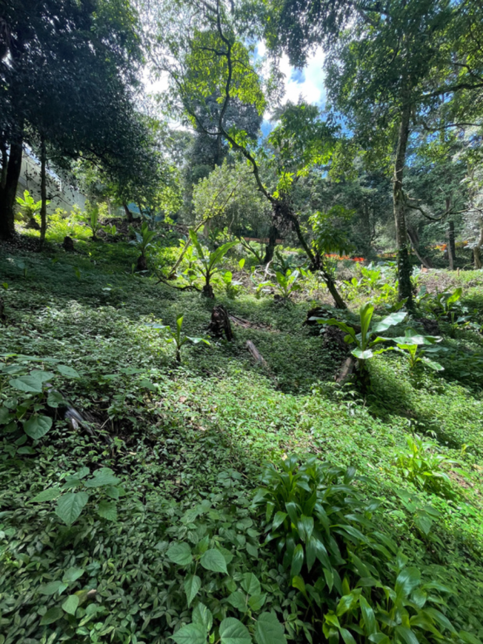 Terreno en venta Vistalvalle, km. 10.5 CAES — foto 5