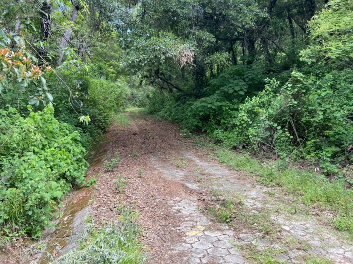 Terreno en venta, Encinal zona 7 Mixco - Miniatura 6