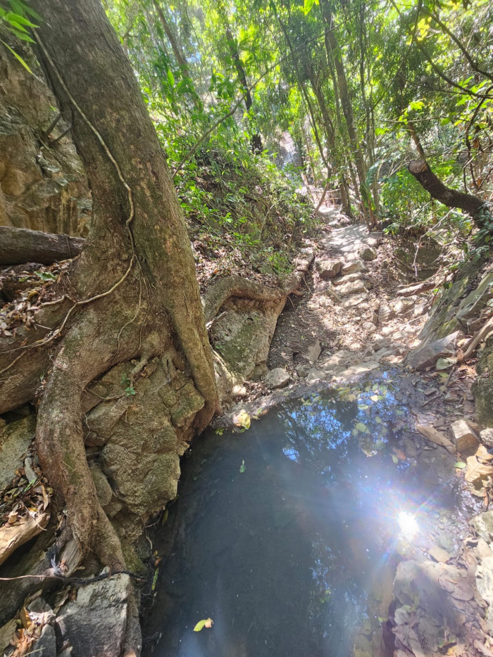Finca en venta en Fraijanes - Miniatura 22