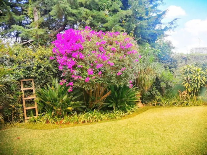 En venta Conjunto residencial 3 apartamentos El Prado - Miniatura 21