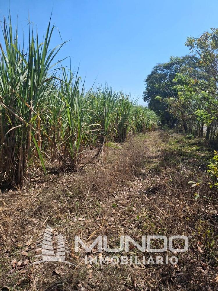 FINCA EN VENTA CARRETERRA ANTIGUA AL PUERTO SAN JOSÉ — foto 9