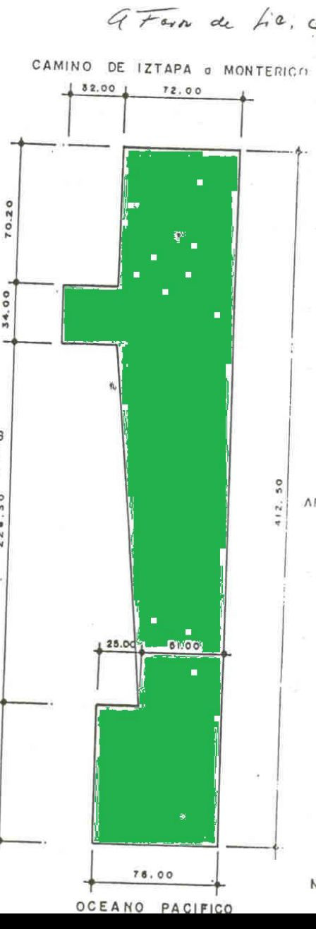 TERRENO GRANDE EN VENTA EN IZTAPA PARA DESARROLLO - 19