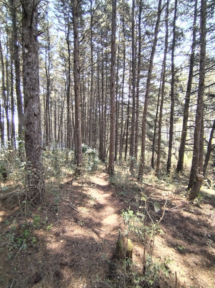 FINCA EN #VENTA EN CARRETERA A EL SALVADOR - 5