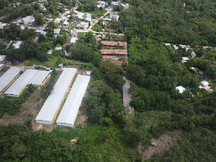 Granja en Venta | Palencia | KM 23.5 - 3