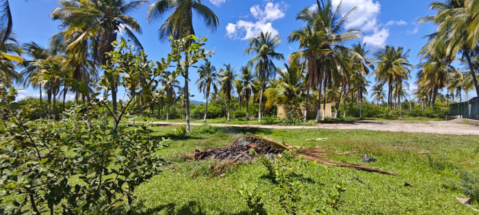 Terreno a metros de la playa en El Espino Usulután - 3