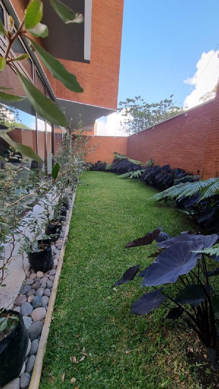 APARTAMENTO EN RENTA EN VISTA HERMOSA I /MI — foto 10